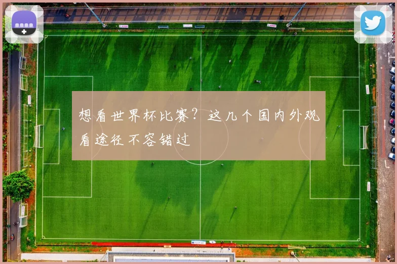 想看世界杯比赛?这几个国内外观看途径不容错过