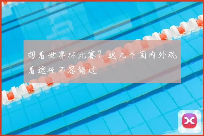 想看世界杯比赛?这几个国内外观看途径不容错过